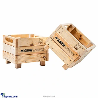 Pochchi Wooden Planter- Buy Pochchi Online for specialGifts