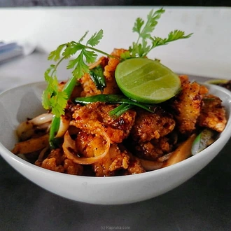 Asylum Firecracker Cuttlefish  Online for none