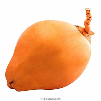 King Coconut  Online for none