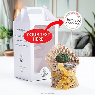 Customize Cactus Plant  Online for none