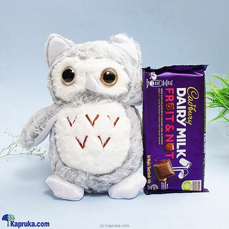 Choco Owl Delights Buy Chocolates Online for specialGifts