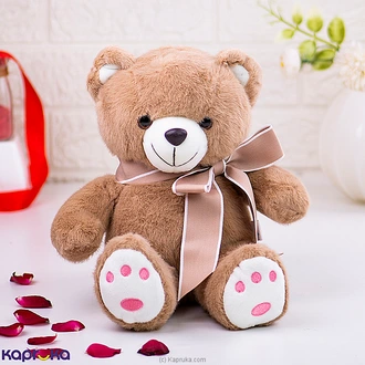 Cocoa Charm Teddy Bear - 15 Inches  Online for none