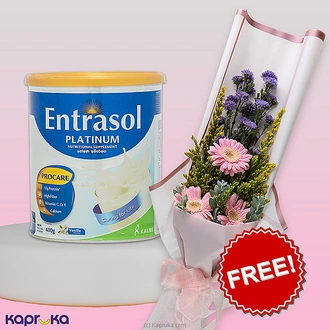 Entrasol Platinum Nutritional Supplement 400g Pack With Free  Golden Glow Gerbera Mothers Day Bouquet Buy mothers day Online for specialGifts