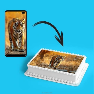 Custom Printed Cakes  Online for none