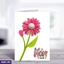 Seasonal Cards ef_pc_gree0v44p00284 in Sri Lanka