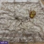 Saree ef_pc_clot0v154pod00862 in Sri Lanka