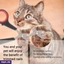 PET HEALTH AND GROOMING ef_pc_petc0v671p00151 in Sri Lanka