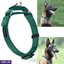 PET ACCESSORIES ef_pc_petc0v671p00155 in Sri Lanka