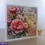 GREETING CARDS ef_pc_gree0v699p00120 in Sri Lanka