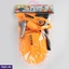 Educational and Learning Toys ef_pc_kids0v711p00014 in Sri Lanka