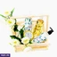 GIFT SETS FOR HER ef_pc_gift0v571pod00137 in Sri Lanka