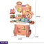 Educational and Learning Toys EF_PC_KIDS0V890P00010 in Sri Lanka
