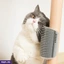 PETCARE EF_PC_PETC0V890P00001 in Sri Lanka