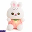 Soft Toys ef_pc_soft0v2028p00143 in Sri Lanka