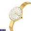 Watches ef_pc_jewe0v2216p00148 in Sri Lanka