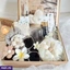 GIFT SETS FOR HER EF_PC_GIFT0V2450POD00260 in Sri Lanka