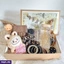 GIFTSET ef_pc_gift0v2450pod00276 in Sri Lanka