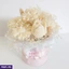 Home Decor and Accessories ef_pc_home0v2450pod00011 in Sri Lanka