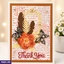GREETING CARDS ef_pc_gree0v2482p00059 in Sri Lanka