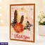 GREETING CARDS ef_pc_gree0v2482p00059 in Sri Lanka