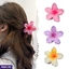 Womens Accessories EF_PC_FASHION0V2686POD00034 in Sri Lanka