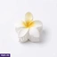 Womens Accessories ef_pc_fashion0v2686pod00042 in Sri Lanka