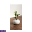 Home Decor and Accessories EF_PC_HOME0V2762POD00003 in Sri Lanka