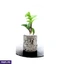 Home Decor and Accessories ef_pc_home0v2762pod00077 in Sri Lanka