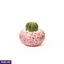 Home Decor and Accessories ef_pc_home0v2762pod00078 in Sri Lanka