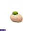 Home Decor and Accessories ef_pc_home0v2762pod00079 in Sri Lanka