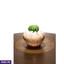Home Decor and Accessories ef_pc_home0v2762pod00079 in Sri Lanka