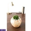 Home Decor and Accessories ef_pc_home0v2762pod00079 in Sri Lanka