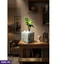 Home Decor and Accessories ef_pc_home0v2762pod00080 in Sri Lanka