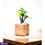 Home Decor and Accessories ef_pc_home0v2762pod00081 in Sri Lanka
