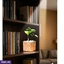 Home Decor and Accessories ef_pc_home0v2762pod00081 in Sri Lanka