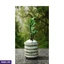 Home Decor and Accessories ef_pc_home0v2762pod00083 in Sri Lanka