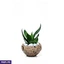 Home Decor and Accessories ef_pc_home0v2762pod00084 in Sri Lanka