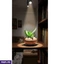 Home Decor and Accessories ef_pc_home0v2762pod00084 in Sri Lanka