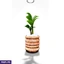 Home Decor and Accessories ef_pc_home0v2762pod00087 in Sri Lanka