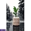 Home Decor and Accessories ef_pc_home0v2762pod00087 in Sri Lanka