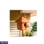 Home Decor and Accessories EF_PC_HOME0V2762POD00088 in Sri Lanka