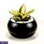 Home Decor and Accessories ef_pc_home0v2762pod00089 in Sri Lanka