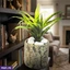Home Decor and Accessories ef_pc_home0v2762pod00090 in Sri Lanka