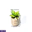 Home Decor and Accessories ef_pc_home0v2762pod00091 in Sri Lanka