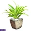 Home Decor and Accessories ef_pc_home0v2762pod00092 in Sri Lanka