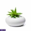 Home Decor and Accessories ef_pc_home0v2762pod00094 in Sri Lanka