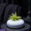 Home Decor and Accessories ef_pc_home0v2762pod00094 in Sri Lanka