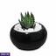 Home Decor and Accessories ef_pc_home0v2762pod00095 in Sri Lanka