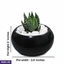 Home Decor and Accessories ef_pc_home0v2762pod00095 in Sri Lanka