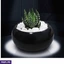 Home Decor and Accessories ef_pc_home0v2762pod00095 in Sri Lanka